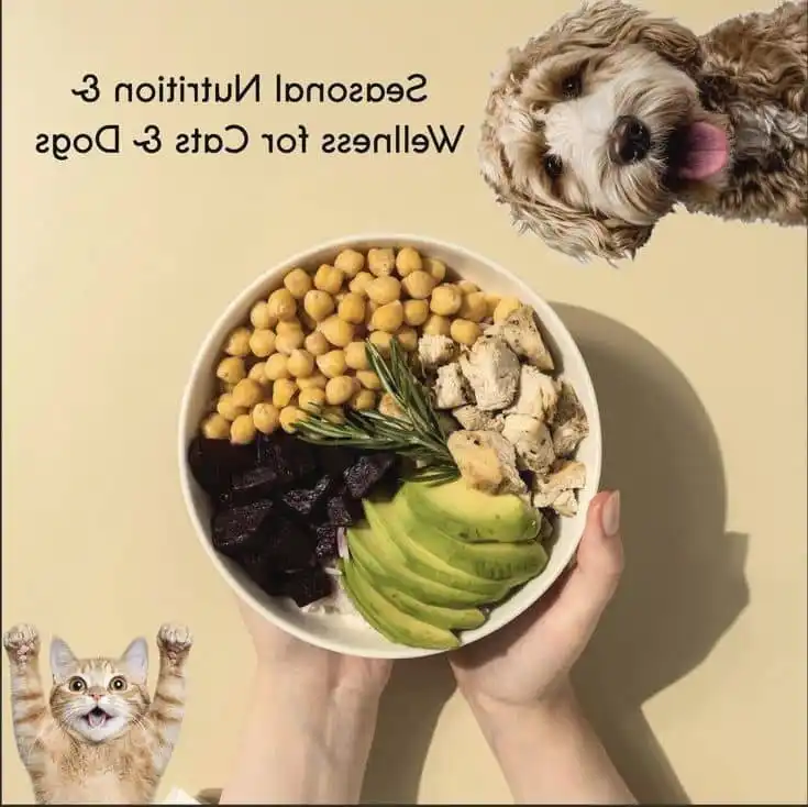 cute happy pets and nutrition food